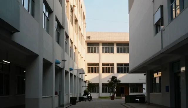 APP开发中的使用场景与维护建议分析